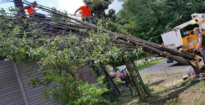 Roofing