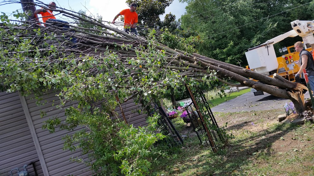 Roofing